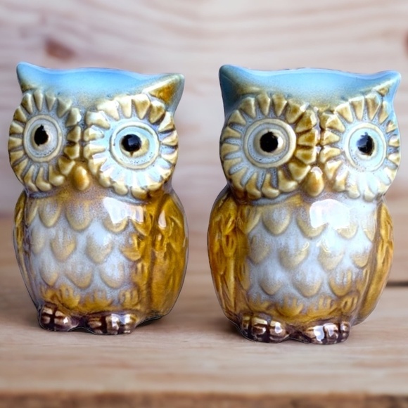 Blue Owl Salt and Pepper Shaker Set Glazed Ceramic Owl Decor 2 Piece Set - Picture 9 of 14